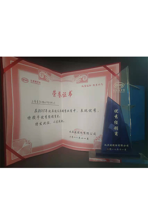 比亚迪2018优秀经销商